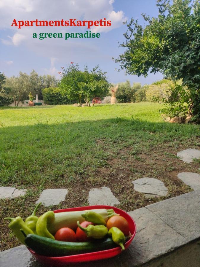Apartments Karpetis A Green Paradise Psakoudia Luaran gambar