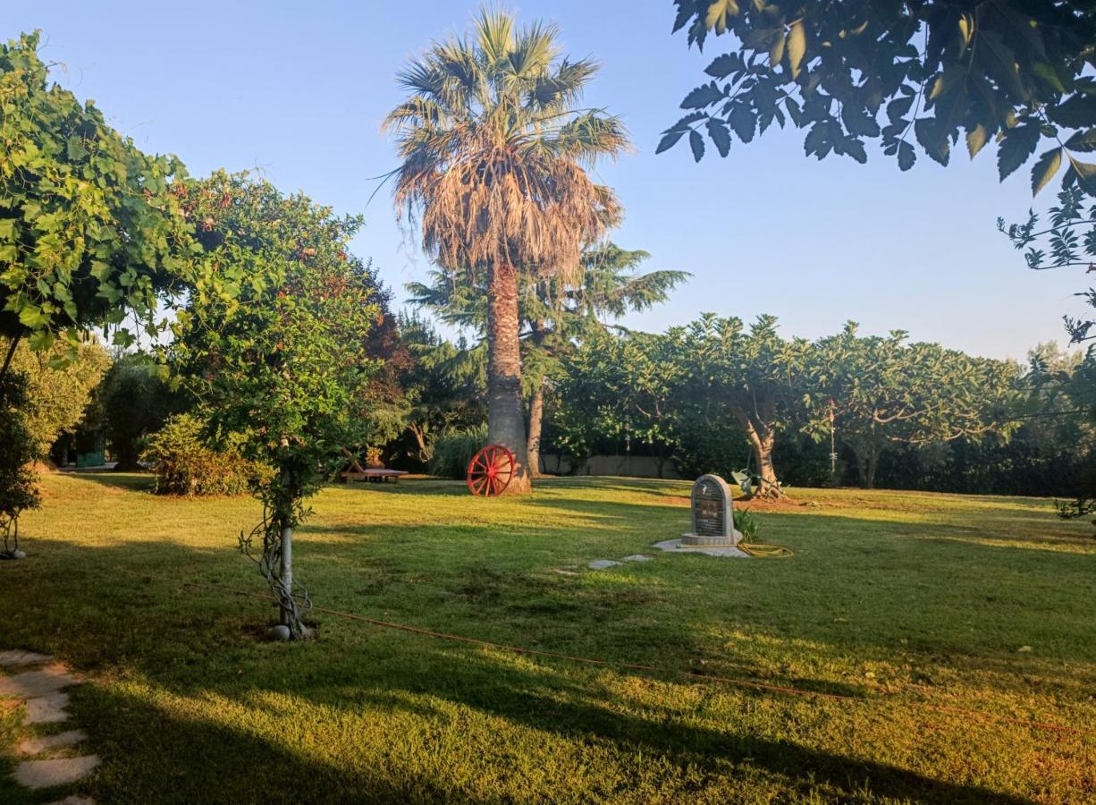 Apartments Karpetis A Green Paradise Psakoudia Luaran gambar
