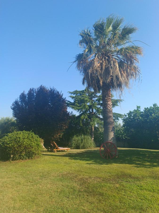 Apartments Karpetis A Green Paradise Psakoudia Luaran gambar